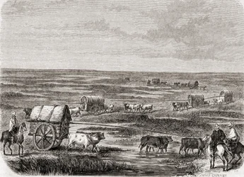 Wagon Train on the Argentinian Pampas in the 1860s, engraved by Alfred Louis Sargent